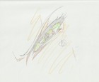 The Twelve Kingdoms Juuni Kokki Genga Douga Original Sketches Pierrot - Youko — photo 9
