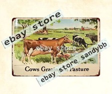 1950s cows gracing in pasture farm dairy livestock metal tin sign western decor