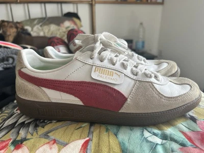 Puma Palermo