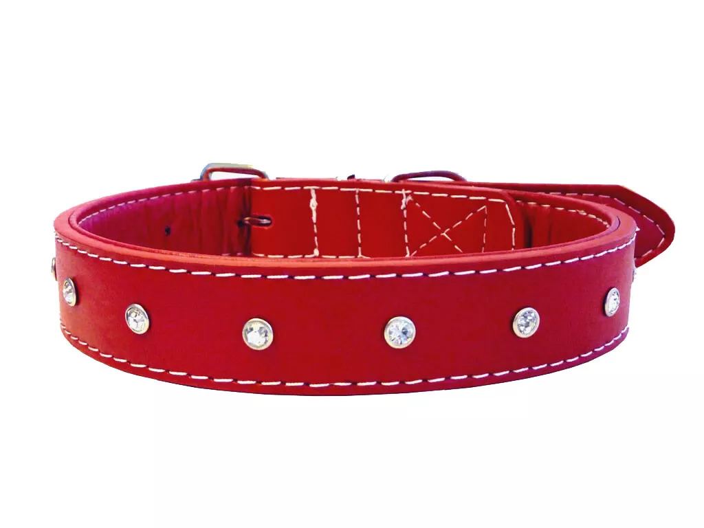 Puppy hotsell collars ebay