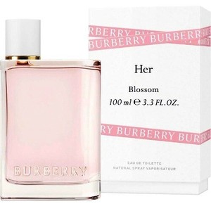 burberry her ebay
