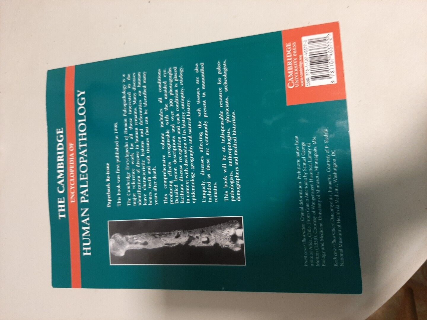 Thumbnail - The Cambridge Encyclopedia Of Human Paleopathology Paperback