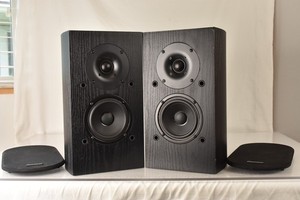 Pioneer Sp-Bs22 | eBay
