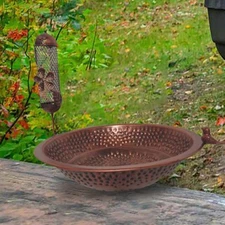 Bird Bath Accessory Large Capacity Bird Feeder for Outdoors Garden Children