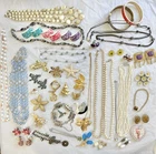 Vintage Costume Jewelry Lot