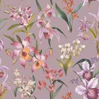 Maya Blumen Tapete Blumen Orchideen Lila / Lila/Bunt 283661 Rasch