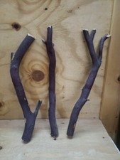 3 Red/grey Manzanita branch 208 Rough Cuts 17"