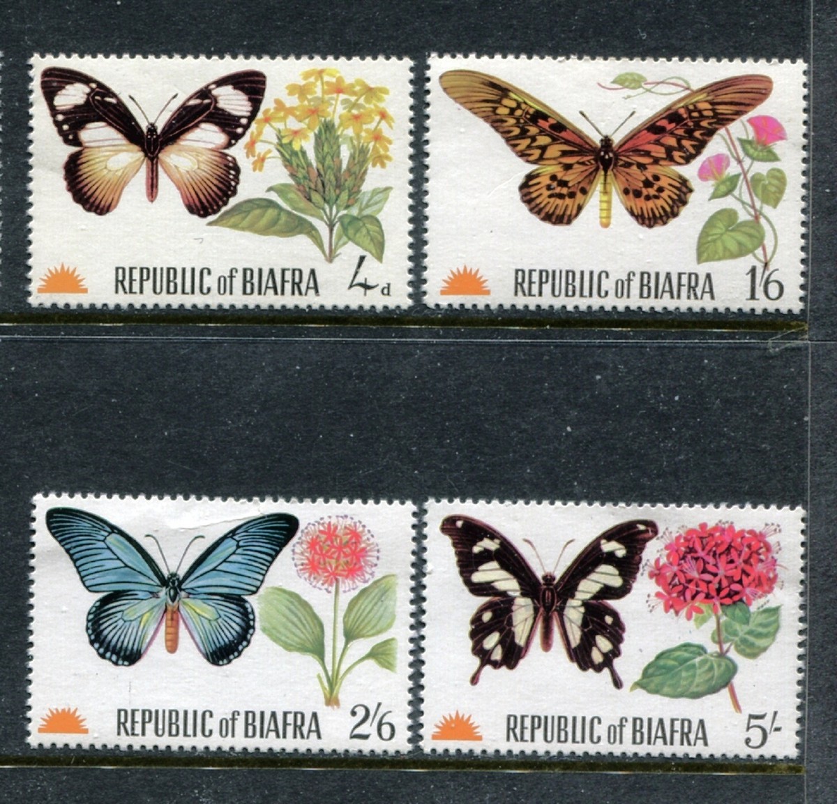 Biafa, MNH, Insects Butterflies. x23996 | eBay