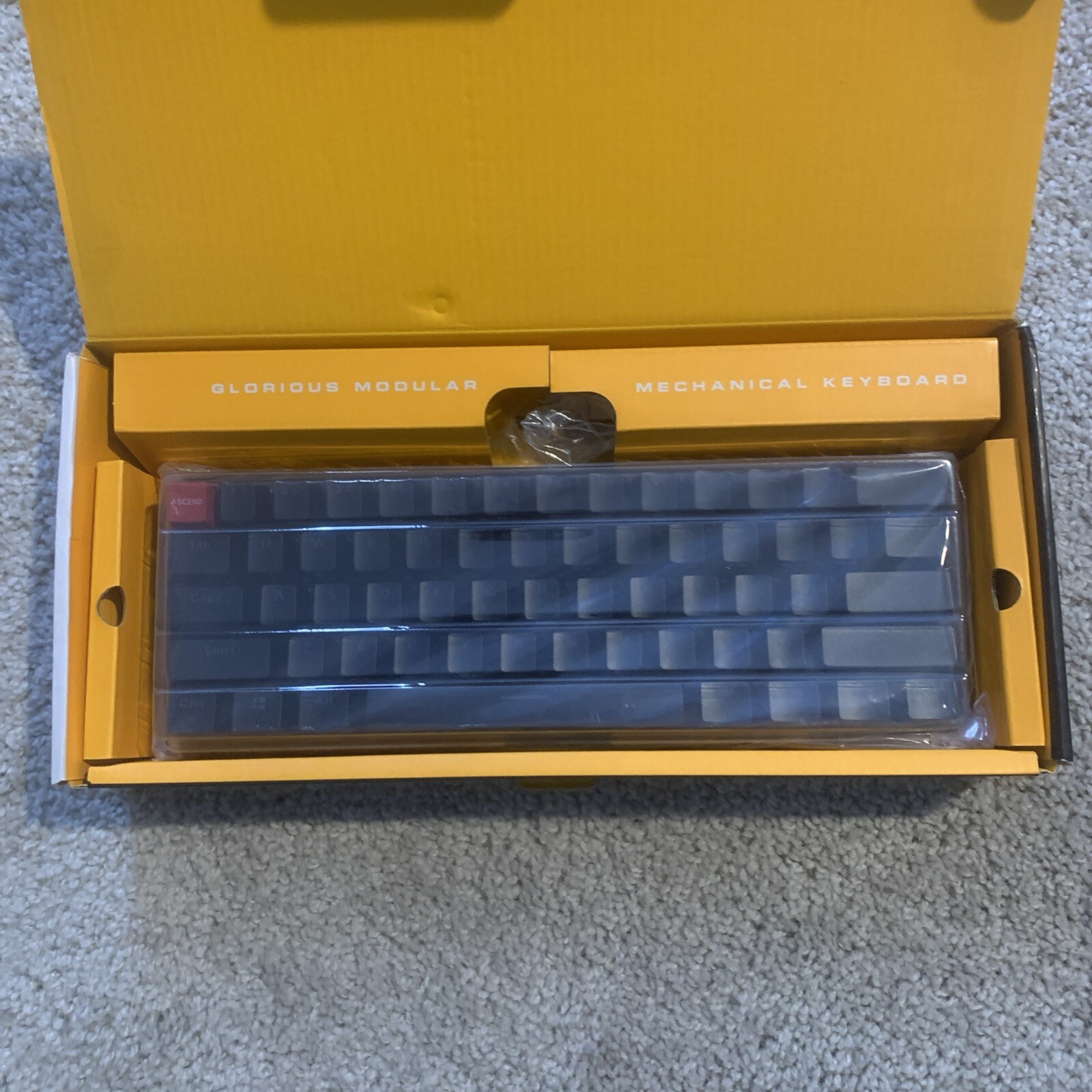 Picture 10 of 16