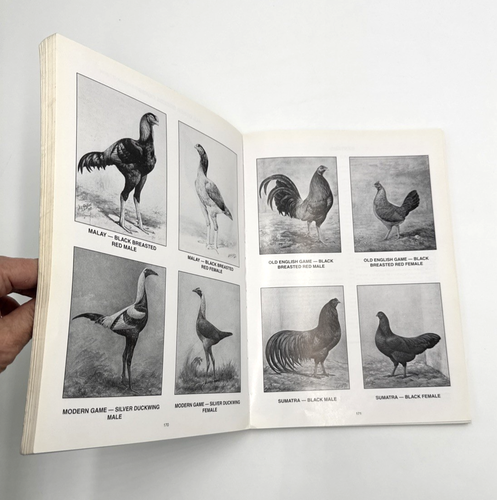 American Standard of Perfection 1998 American Poultry Association PB Ex-Library - Picture 5 of 10