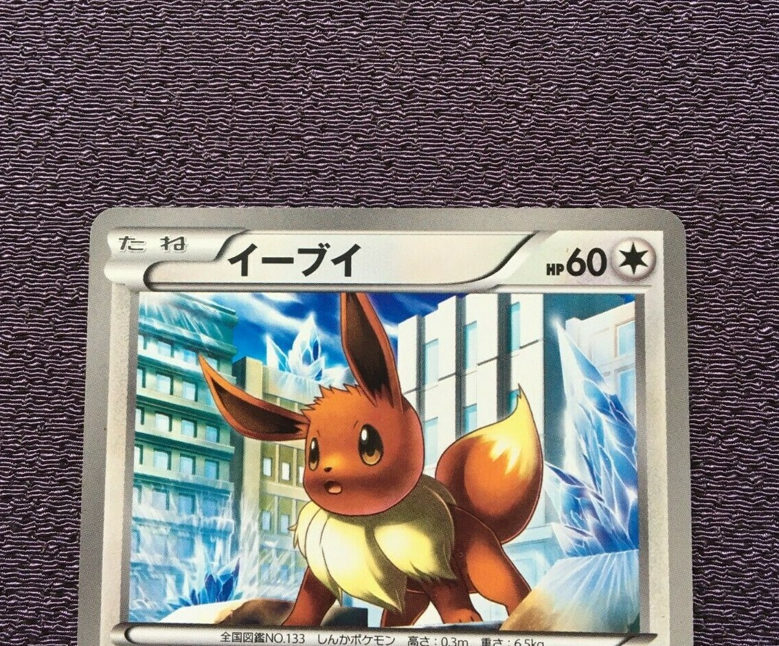 Eevee Pokemon Card RARE 1st Edition 2012 Japanese 042/051 Nintendo