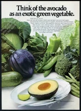 1970 avocado photo An Exotic Green Vegetable Cal Avocado Board vintage print ad