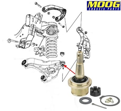 Traggelenk vorne unten links/rechts Dodge RAM 1500 2WD & 4WD Bj:09-25 (Gen.4)