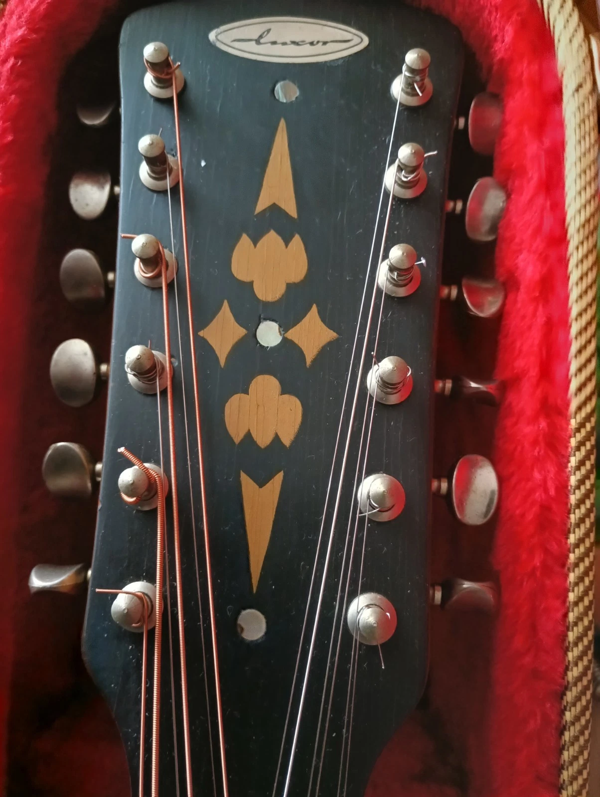 Picture 5 of 14
