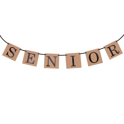 Graduation Banner Banner Pennant Banner Wedding Bunting Banner