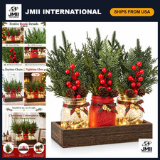 Rustic Mason Jar Christmas Table Decor - Winter Holiday Centerpieces for Tables