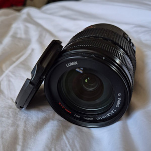 Panasonic Lumix G Vario 14-140mm f/4-5.8 ASPH. MFT Zoom Lens 62mm
