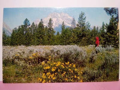 (4) different Wyoming landscapes 60s