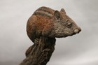 Tim Wolfe Chipmunk Sculpture Figurine Ginny 1991 — photo 6