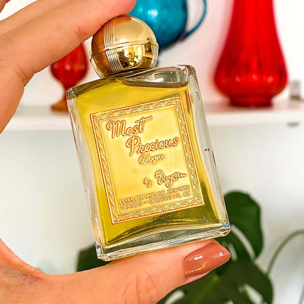 Introductory BargainCologne vs perfume How to tell them apart and when