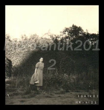 Photo, family from Wolfenbüttel, tour of Germany, pretty Maid, 1938, 5026-1140