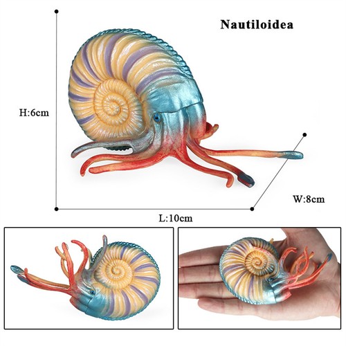Figura Nautilus Creature Antiche Collezionista Pesce Serbatoio Scena Decorazione Bambini Giocattolo Regalo - Foto 17 di 24