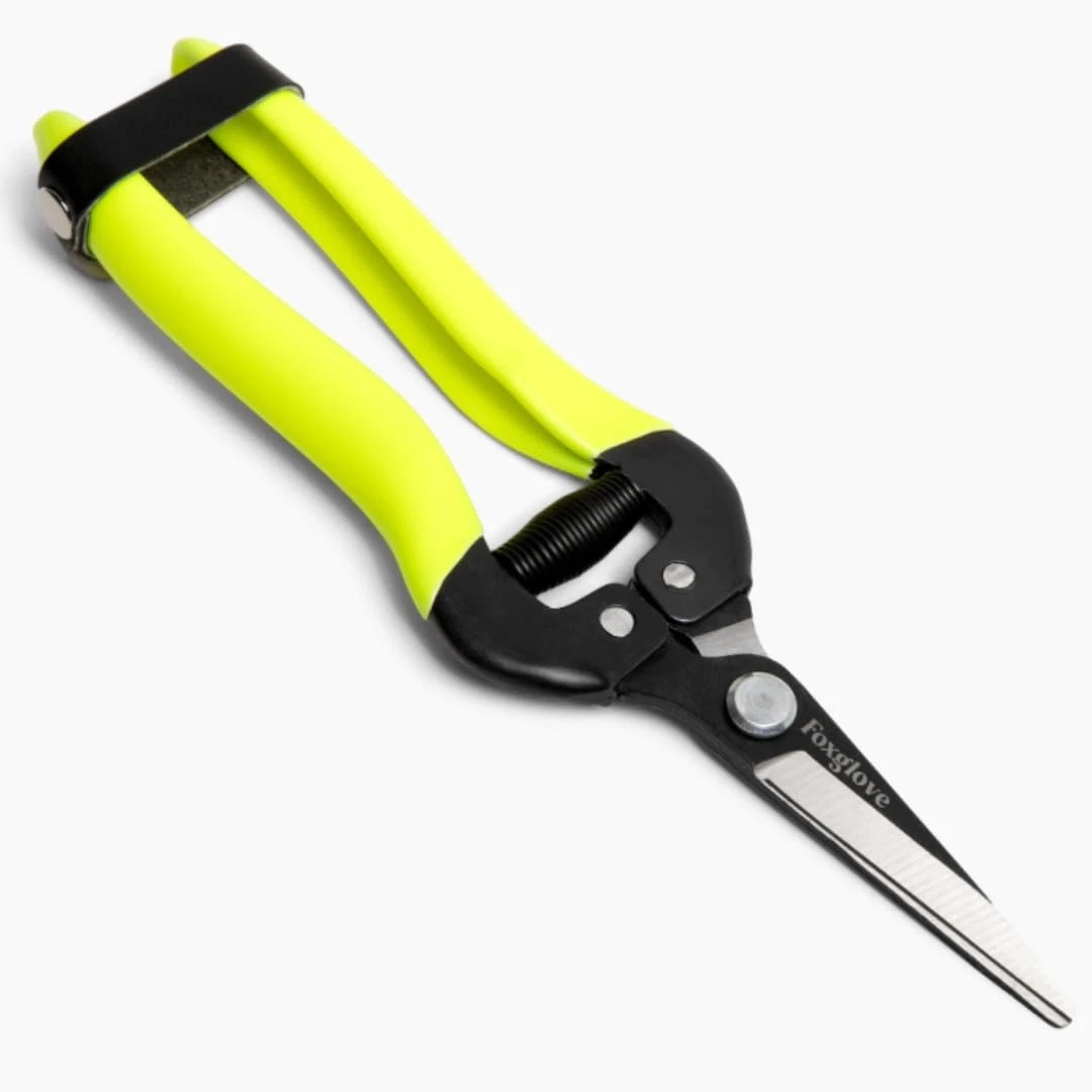 Foxglove Garden Scissors – Professional Pruning Shears for Gardening, Ultra-S...
Opens in a new wind