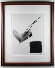 Toko Shinoda Fly Lithograph Signed Limited Edition To 200 Framed Japanese Art