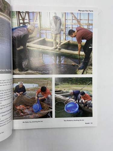 Koishi Koi Breeders Creators of Living Jewels Mamoru Kodama Paperback/slipecase - 第 12/12 張圖片