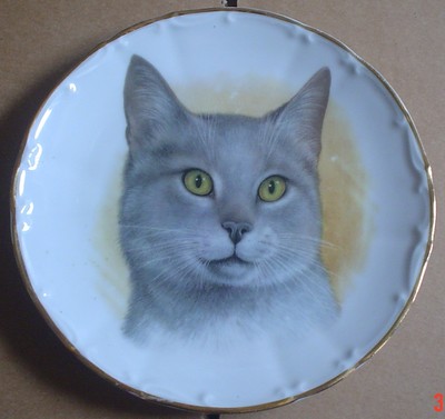 A J L Giftware Sammlerteller blau grau Katze