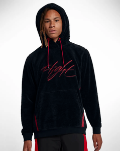 jordan sportswear wings of flight