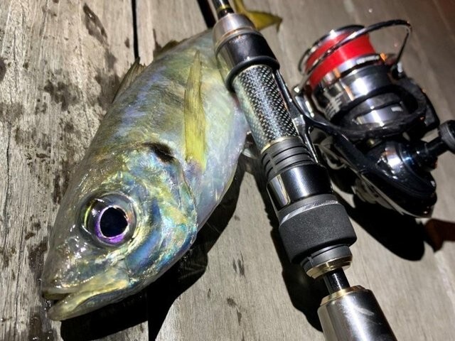 tailwalk SUPER AJIST TZ S47/TISL AJING titanium solid short