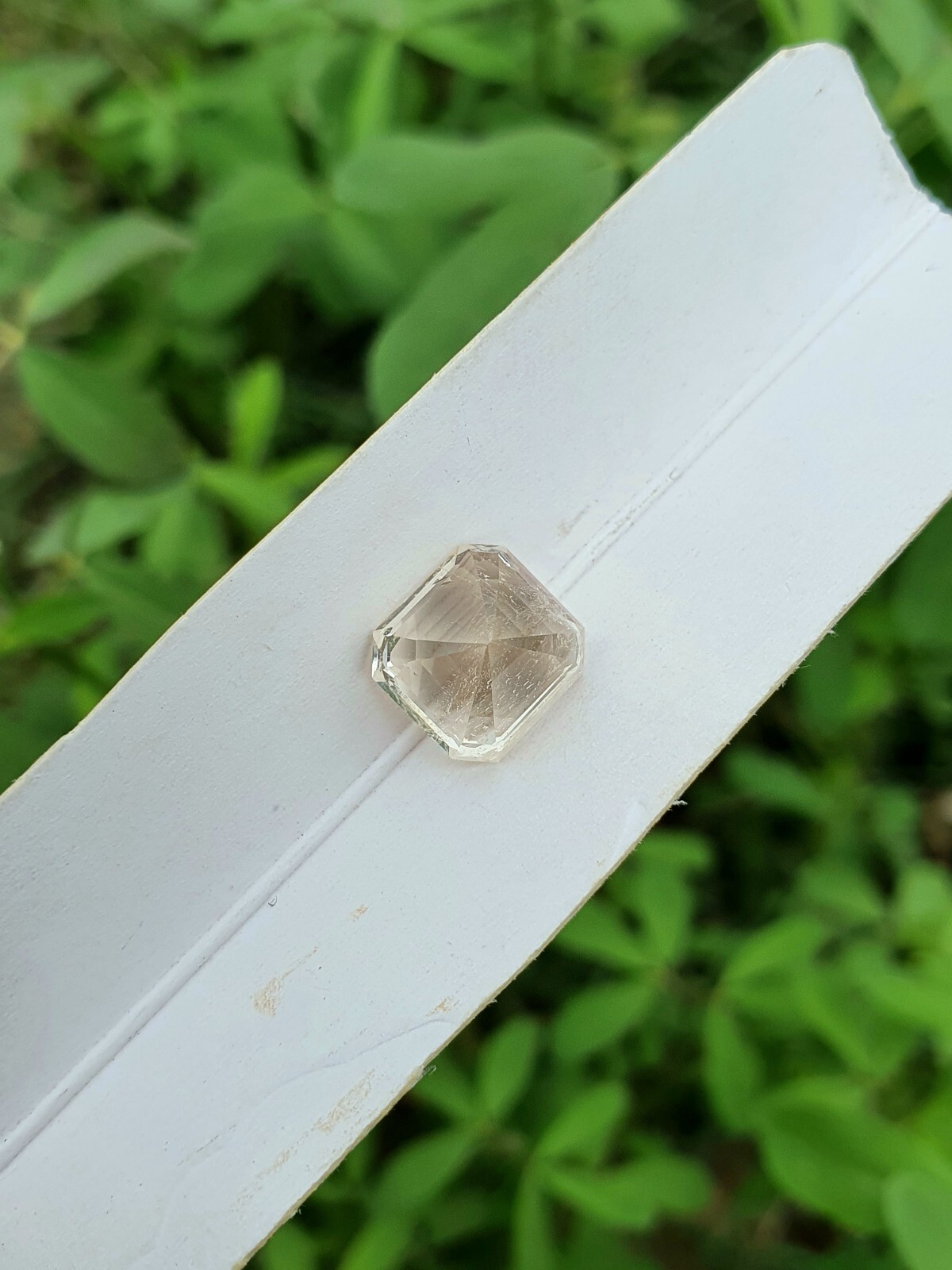 Picture 5 of 5