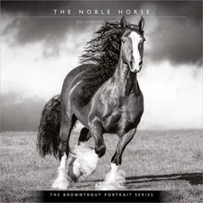 The BrownTrout Portrait Series: The Noble Horse | 2026 12x24" Wall Calendar