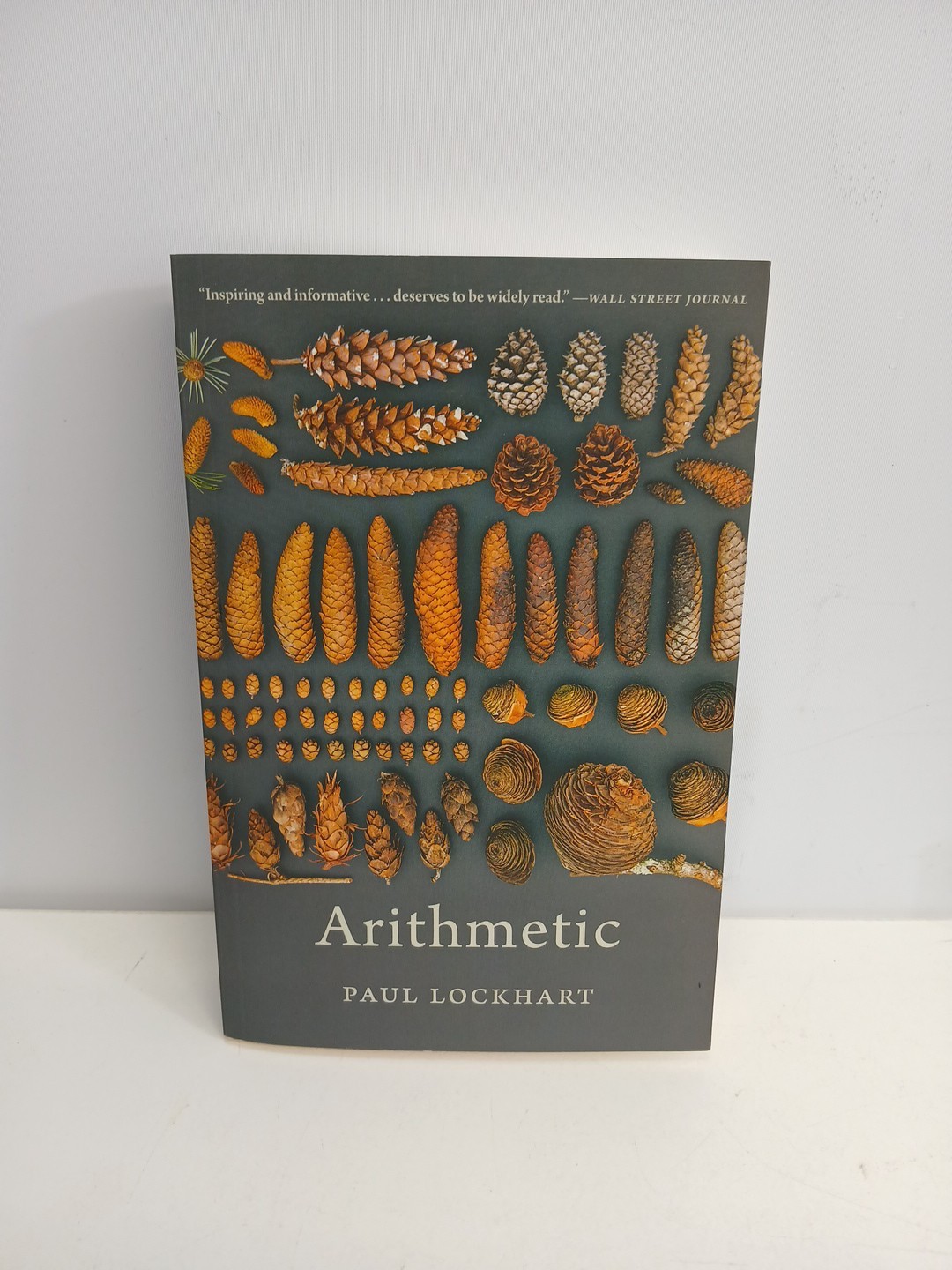 Arithmetic - Paperback, by Lockhart Paul -
