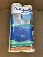 Culligan S1A Standard-Duty Whole House Water Filter 20 Micron 2-pack