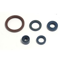 Parolio Motor Husqvarna TE-TC 250-450 FüR Husqvarna SM 510 R 04-10 4T
