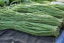 40 Yard Long Bean seeds Asian Chinese Long Bean String beans Productive USA