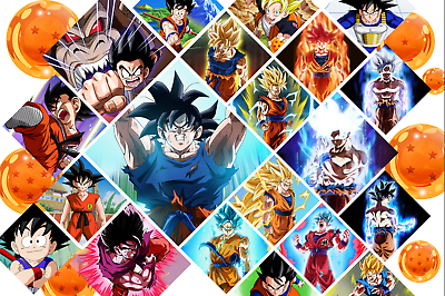 Dragon Ball Z SSJ Vegeta Collage 18in x 12in Free Shipping