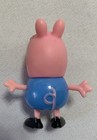 Foto 13 di 13