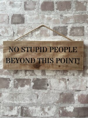 Handgefertigtes Holzschild - ''No Stupid People Beyond This Point'' - lustige Bürodeko