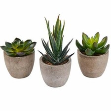 Zalava Set di 3 Piante Artificiali Succulenti in Vasi Tondi Mini Piante Grasse F