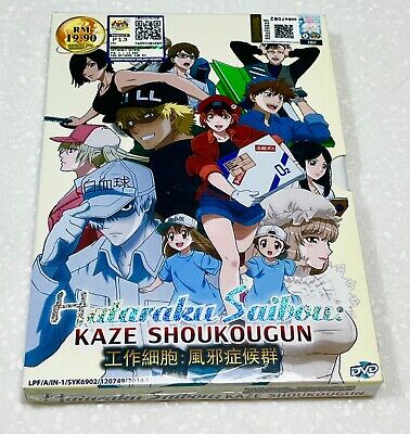 Anime DVD Hataraku Saibou Kaze Shoukougun Eng Sub&all Region L6 for sale  online