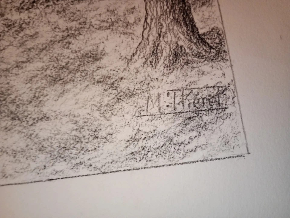 Dessin original L'étang Blanc Seignosse Landes - Photo 3/4