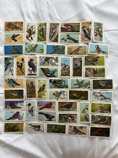 Brooke Bond Tea Canadian/American Song Birds Complete Set 1-48