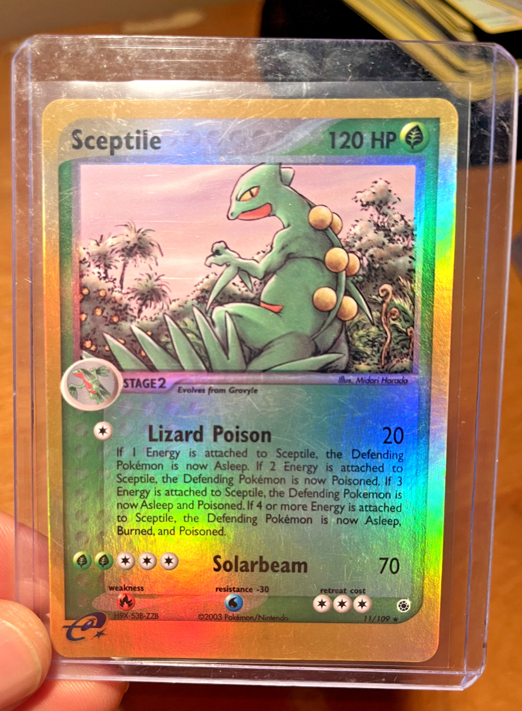 2003 Pokémon TCG Sceptile EX Ruby and Sapphire Reverse Holo 11/109 NM