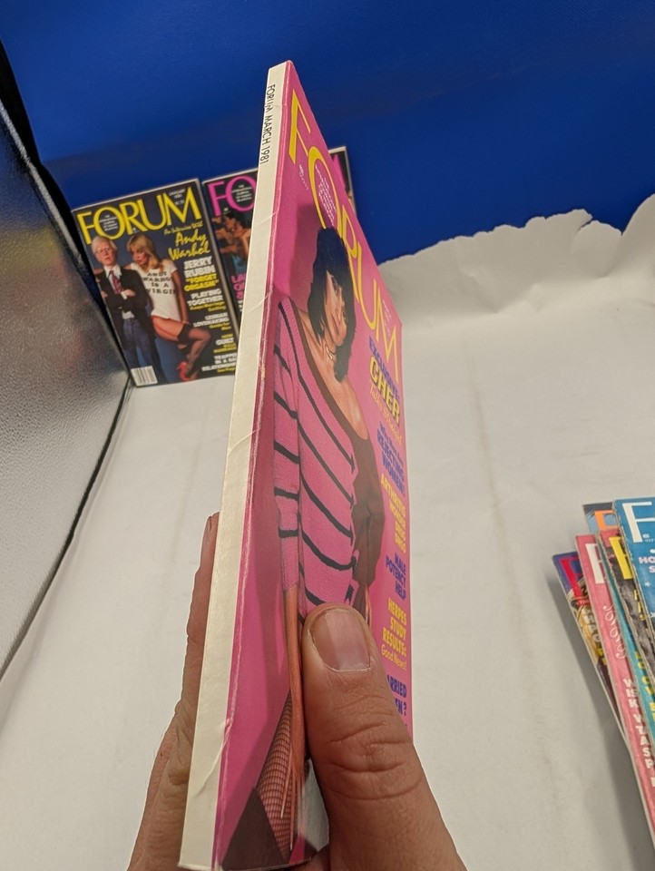 1981 Penthouse Forum Magazine Full Year 12 Issues Adult Stories