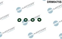 DRM0475S Dr.Motor Automotive Dichtring, DüSenhalter FüR Audi,Seat,Skoda,Vw