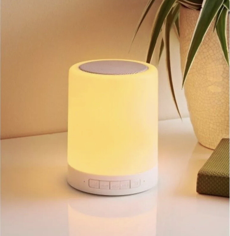 boombeatz fish speaker