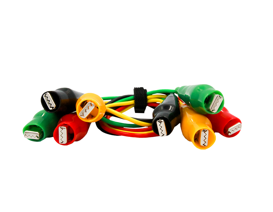 ZG004 - Zebra-Gators (Large) # G36-444 / G36444 | eBay